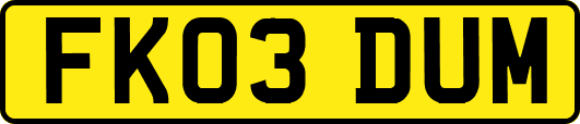 FK03DUM