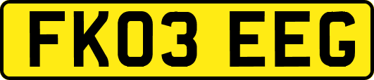 FK03EEG
