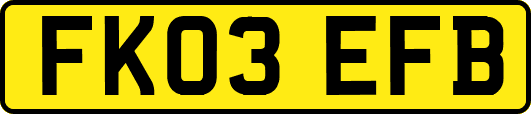 FK03EFB