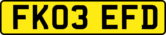 FK03EFD