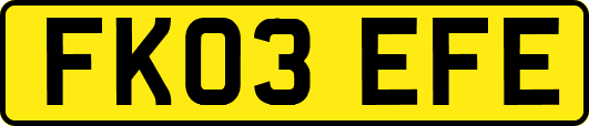 FK03EFE