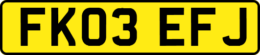 FK03EFJ