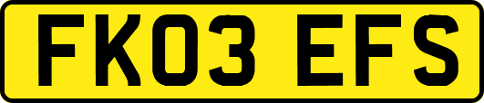 FK03EFS