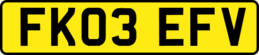 FK03EFV