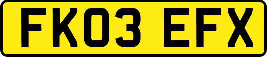 FK03EFX