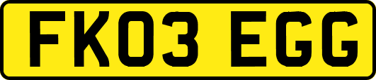 FK03EGG
