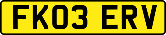 FK03ERV