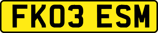 FK03ESM