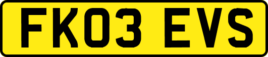 FK03EVS