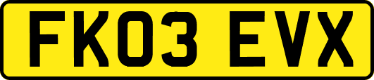 FK03EVX