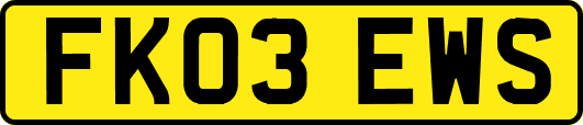 FK03EWS
