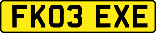 FK03EXE