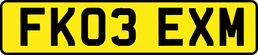 FK03EXM