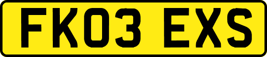 FK03EXS