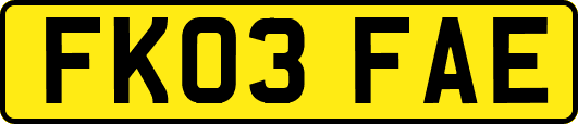 FK03FAE