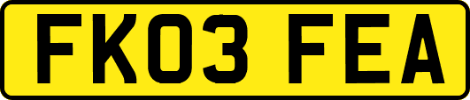 FK03FEA