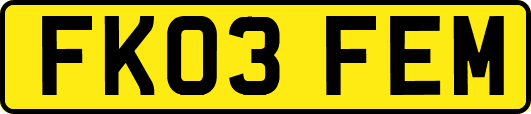 FK03FEM