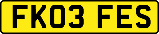 FK03FES