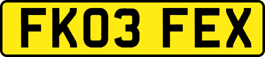 FK03FEX