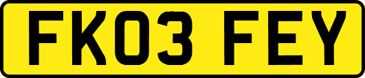 FK03FEY