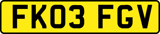 FK03FGV