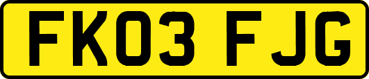 FK03FJG