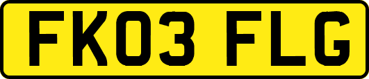 FK03FLG