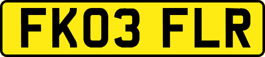 FK03FLR