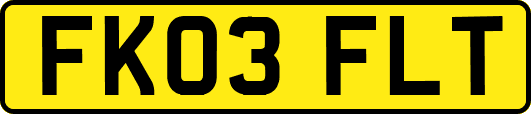 FK03FLT