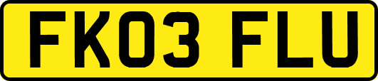 FK03FLU