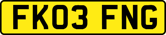 FK03FNG