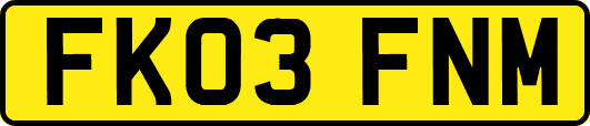FK03FNM