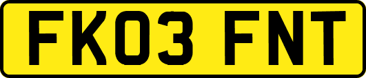 FK03FNT