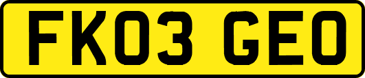 FK03GEO