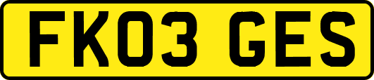 FK03GES