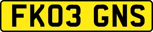 FK03GNS