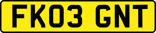 FK03GNT