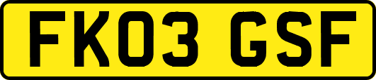 FK03GSF