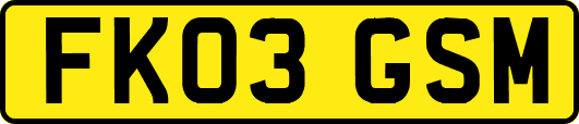 FK03GSM