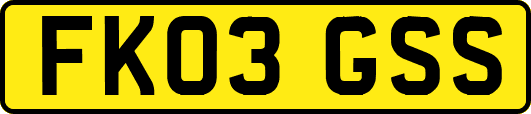 FK03GSS