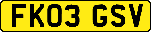 FK03GSV