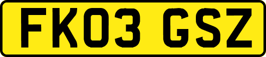 FK03GSZ