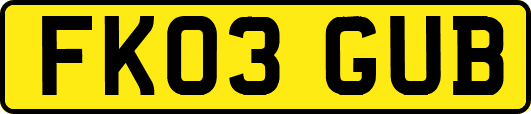 FK03GUB