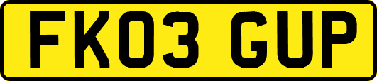 FK03GUP