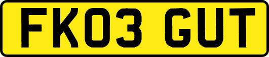 FK03GUT