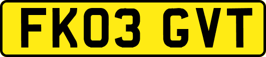 FK03GVT