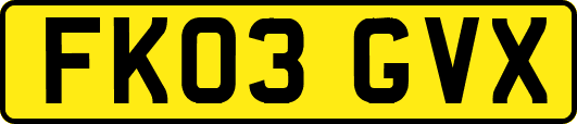 FK03GVX