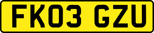 FK03GZU