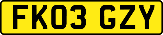 FK03GZY