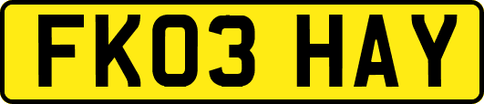 FK03HAY